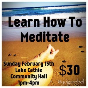 Meditation Workshop Feb 2015